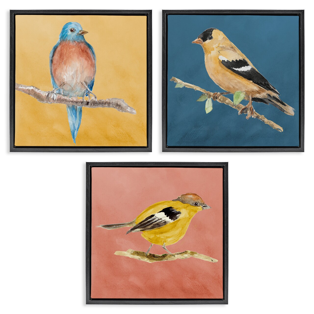 Stupell Industries Brilliant Birds on Branches 3 pc Framed Floater Canvas Wall Art Set Design by Lanie Loreth